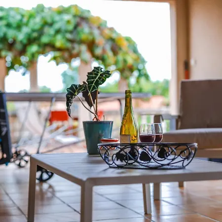 アパート Tonnelle Gaillacoise - Piscine - Climatisation ガイヤック