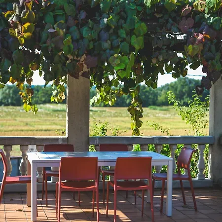 Tonnelle Gaillacoise - Piscine - Climatisation アパート