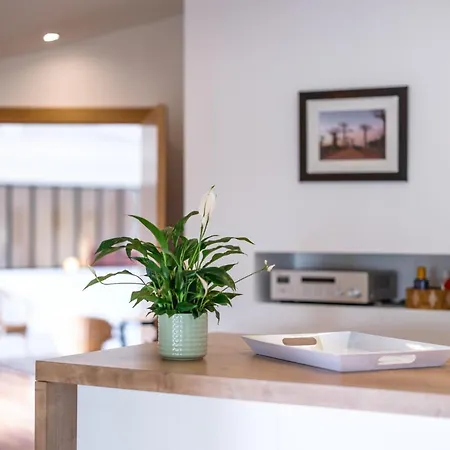 Tonnelle Gaillacoise - Piscine - Climatisation *