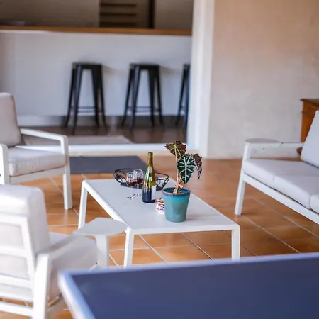 Tonnelle Gaillacoise - Piscine - Climatisation アパート ガイヤック