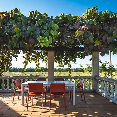 Tonnelle Gaillacoise - Piscine - Climatisation アパート ガイヤック