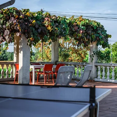 Tonnelle Gaillacoise - Piscine - Climatisation アパート ガイヤック